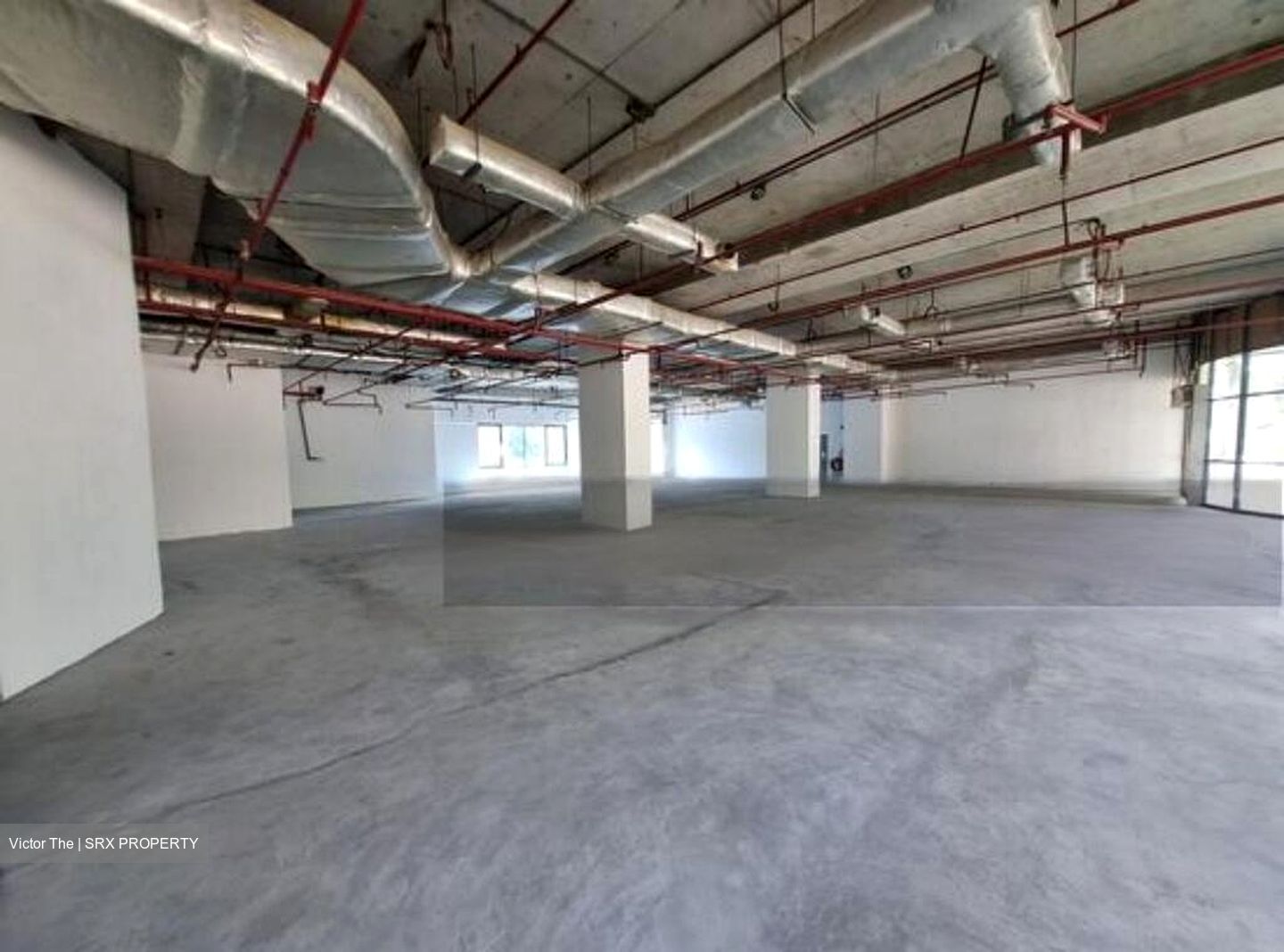 Oasis Garden (D19), Factory #453135431